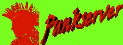 punkserver.de - Web- & Domainservices fr Punks
